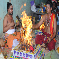 Astrology Services,Birth Horoscope,Homam And Poojas,Jothidam Services,Marriage Information Centre,Matrimonial Services,Numerologist,Parihara Homam,Pithru Poojas,Progitham Services,Pujas And Pariharams,Thirumanam Poojas,Vastu Services,Amavasya Purnami Details,Astrological Consultancy Services,Birth Charts Services,Jothidam,Marriage Contract Services,Match Making Services,Parihara Poojas,Pithru Homam,Temple Homam,Temple Poojas,Progithar,Numerology