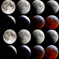 Astrology Services,Birth Horoscope,Homam And Poojas,Jothidam Services,Marriage Information Centre,Matrimonial Services,Numerologist,Parihara Homam,Pithru Poojas,Progitham Services,Pujas And Pariharams,Thirumanam Poojas,Vastu Services,Amavasya Purnami Details,Astrological Consultancy Services,Birth Charts Services,Jothidam,Marriage Contract Services,Match Making Services,Parihara Poojas,Pithru Homam,Temple Homam,Temple Poojas,Progithar,Numerology