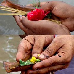 Astrology Services,Birth Horoscope,Homam And Poojas,Jothidam Services,Marriage Information Centre,Matrimonial Services,Numerologist,Parihara Homam,Pithru Poojas,Progitham Services,Pujas And Pariharams,Thirumanam Poojas,Vastu Services,Amavasya Purnami Details,Astrological Consultancy Services,Birth Charts Services,Jothidam,Marriage Contract Services,Match Making Services,Parihara Poojas,Pithru Homam,Temple Homam,Temple Poojas,Progithar,Numerology