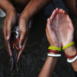 Astrology Services,Birth Horoscope,Homam And Poojas,Jothidam Services,Marriage Information Centre,Matrimonial Services,Numerologist,Parihara Homam,Pithru Poojas,Progitham Services,Pujas And Pariharams,Thirumanam Poojas,Vastu Services,Amavasya Purnami Details,Astrological Consultancy Services,Birth Charts Services,Jothidam,Marriage Contract Services,Match Making Services,Parihara Poojas,Pithru Homam,Temple Homam,Temple Poojas,Progithar,Numerology