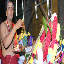 Astrology Services,Birth Horoscope,Homam And Poojas,Jothidam Services,Marriage Information Centre,Matrimonial Services,Numerologist,Parihara Homam,Pithru Poojas,Progitham Services,Pujas And Pariharams,Thirumanam Poojas,Vastu Services,Amavasya Purnami Details,Astrological Consultancy Services,Birth Charts Services,Jothidam,Marriage Contract Services,Match Making Services,Parihara Poojas,Pithru Homam,Temple Homam,Temple Poojas,Progithar,Numerology