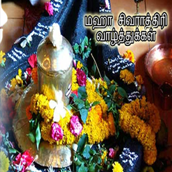 Astrology Services,Birth Horoscope,Homam And Poojas,Jothidam Services,Marriage Information Centre,Matrimonial Services,Numerologist,Parihara Homam,Pithru Poojas,Progitham Services,Pujas And Pariharams,Thirumanam Poojas,Vastu Services,Amavasya Purnami Details,Astrological Consultancy Services,Birth Charts Services,Jothidam,Marriage Contract Services,Match Making Services,Parihara Poojas,Pithru Homam,Temple Homam,Temple Poojas,Progithar,Numerology