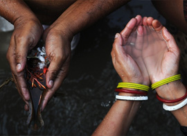 Astrology Services Chennai,Birth Horoscope Chennai,Homam And Poojas Chennai,Jothidam Services Chennai,Marriage Information Centre Chennai,Matrimonial Services Chennai,Numerologist Chennai,Parihara Homam Chennai,Pithru Poojas Chennai,Progitham Services Chennai,Pujas And Pariharams Chennai,Thirumanam Poojas Chennai,Vastu Services Chennai