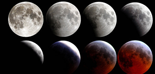 Astrology Services Chennai,Birth Horoscope Chennai,Homam And Poojas Chennai,Jothidam Services Chennai,Marriage Information Centre Chennai,Matrimonial Services Chennai,Numerologist Chennai,Parihara Homam Chennai,Pithru Poojas Chennai,Progitham Services Chennai,Pujas And Pariharams Chennai,Thirumanam Poojas Chennai,Vastu Services Chennai